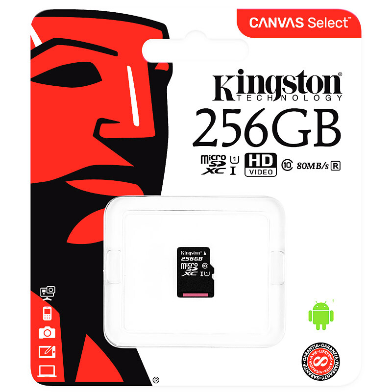 金士頓（Kingston） 內(nèi)存卡 高速行車記錄儀 TF(Micro SD) Class10 UHS-I 手機存儲卡（256GB）_http://www.bzsa.cn/img/sp/276/1a1ace5a-3a3a-428e-8282-f54d10551aa5.jpg