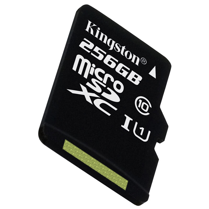 金士頓（Kingston） 內(nèi)存卡 高速行車記錄儀 TF(Micro SD) Class10 UHS-I 手機存儲卡（256GB）_http://www.bzsa.cn/img/sp/276/995ff218-89ff-43c3-80c2-5bbb9e5e09a6.jpg