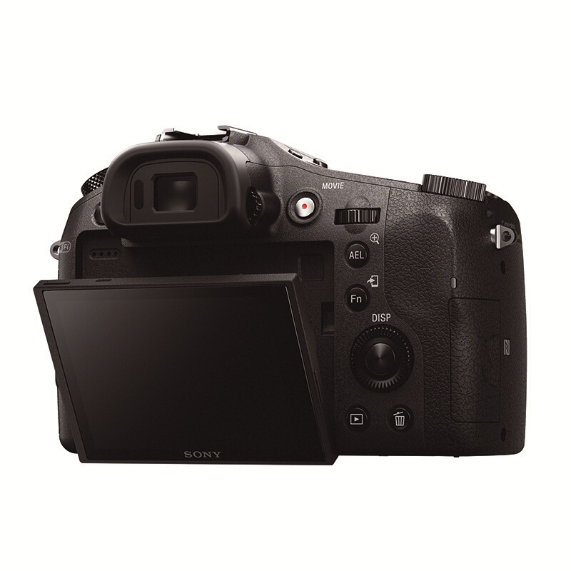 索尼（SONY） DSC-RX10 黑卡數(shù)碼相機(jī) 等效24-200mm F2.8 蔡司鏡頭（WIFI/NFC RX10M1）_http://www.bzsa.cn/img/sp/307/122daa0f-f634-4bd9-ba2f-124e3b6587a0.jpg