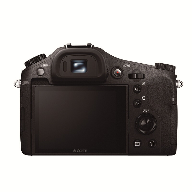 索尼（SONY） DSC-RX10 黑卡數(shù)碼相機(jī) 等效24-200mm F2.8 蔡司鏡頭（WIFI/NFC RX10M1）_http://www.bzsa.cn/img/sp/307/ed6f7730-f98f-45ee-887b-856d5f89a500.jpg