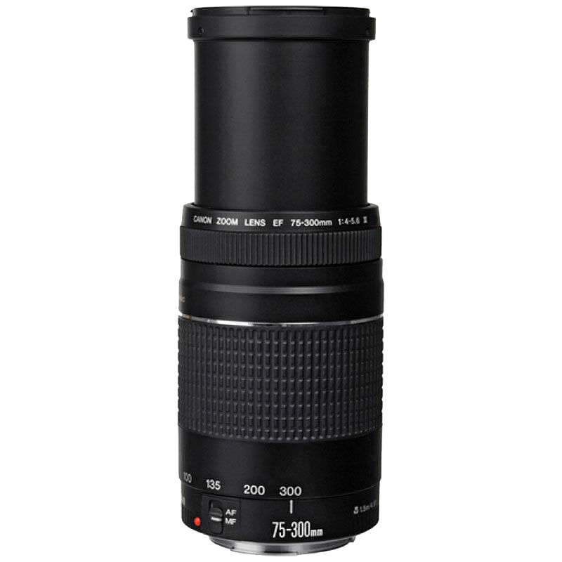 佳能（Canon） EF 75-300mm f/4-5.6 III 遠攝變焦鏡頭_http://www.bzsa.cn/img/sp/320/29d07ab1-4445-4bc3-a150-1a321668acf4.jpg