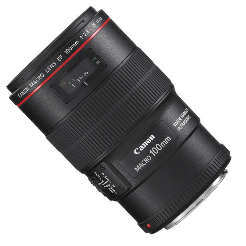 佳能（Canon） EF 100mm f/2.8L IS USM 微距鏡頭_http://www.bzsa.cn/img/sp/320/d461e49a-1ad3-4d1e-aa6d-69e5529be7aa.jpg