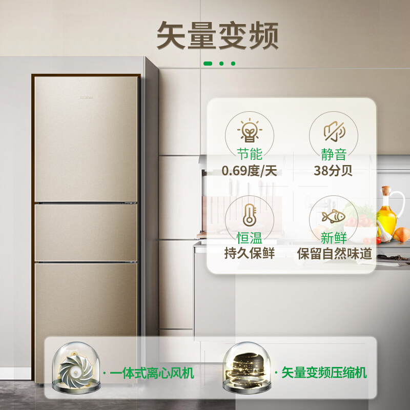 容聲(Ronshen) BCD-252WD11NPA 252升 三門冰箱_http://www.bzsa.cn/img/sp/331/22ddc659-9d72-4f39-96ce-a69f0f5140b6.jpg