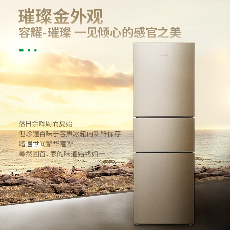 容聲(Ronshen) BCD-252WD11NPA 252升 三門冰箱_http://www.bzsa.cn/img/sp/331/eca77551-6cb8-4042-82e3-11dd9ab699ec.jpg