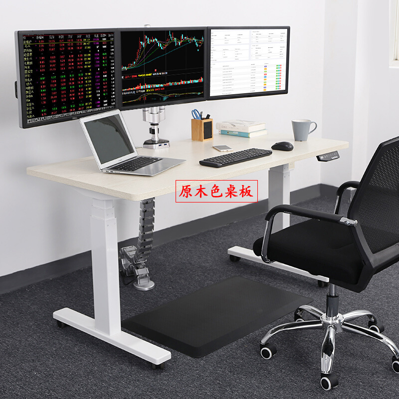 樂歌（Loctek） E3 呵護腰椎站立辦公電動升降桌/立柱3節(jié) (桌面尺寸1800*800mm) 