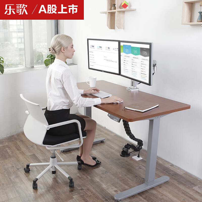 樂歌（Loctek） E1D 站立辦公電動升降桌套裝 (灰色桌架/胡桃木色桌板/方形1200x600mm) _http://www.bzsa.cn/img/sp/361/0ae30259-2013-4dce-90be-59b3d3a326be.jpg