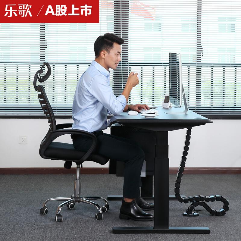 樂歌（Loctek） E3 呵護腰椎站立辦公電動升降桌/立柱3節(jié) (桌面尺寸1200*600mm) 