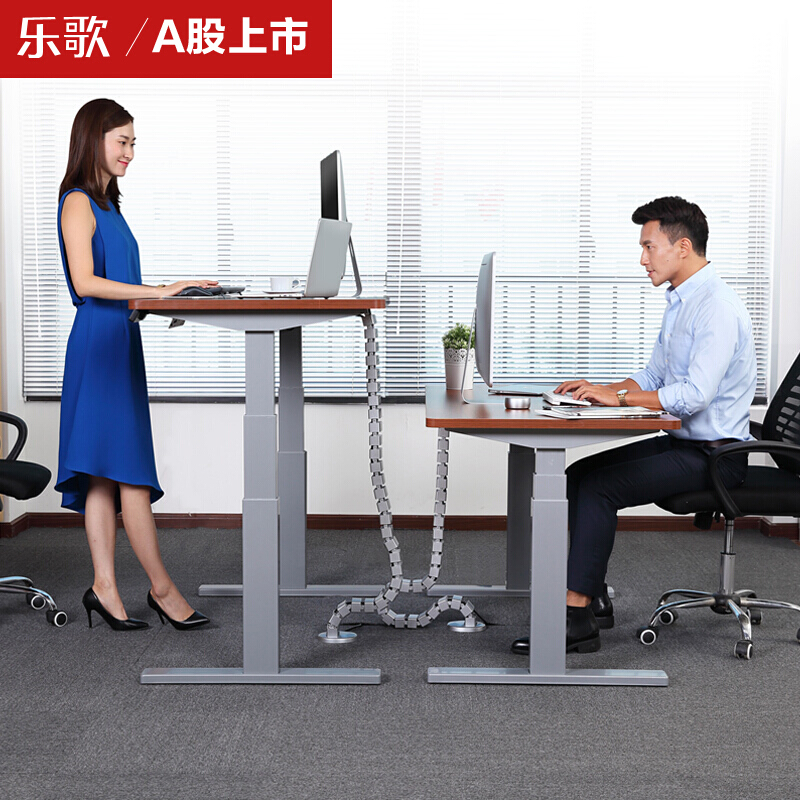 樂歌（Loctek） E3 呵護腰椎站立辦公電動升降桌/立柱3節(jié) (桌面尺寸1600*800mm) 