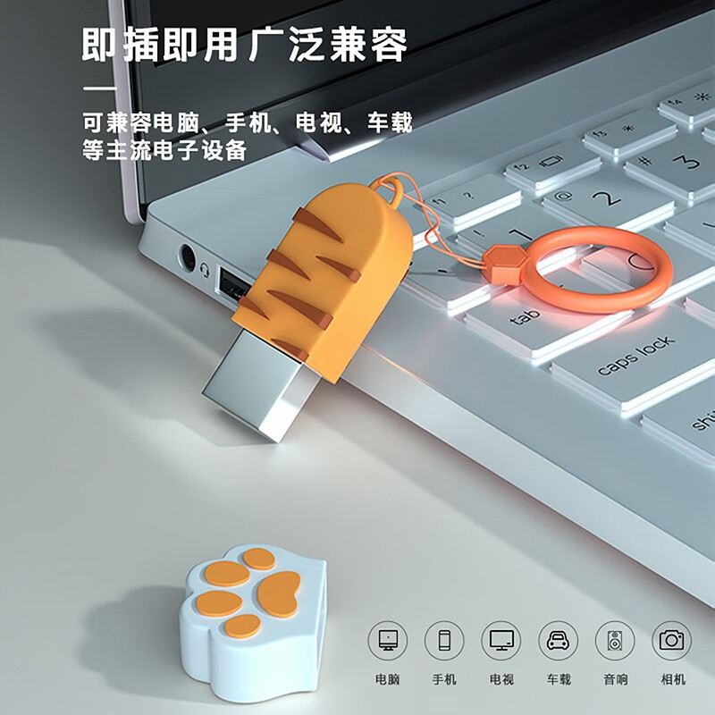 惠普（HP）金屬U盤(pán)可愛(ài)貓爪情侶迷你u盤(pán)【64g炫酷虎爪U盤(pán)】v206w_http://www.bzsa.cn/newimg/C202310/1697789817233.jpg