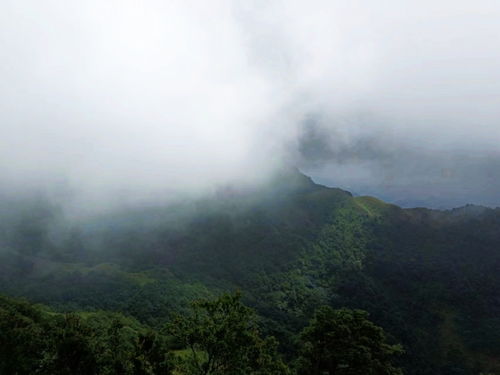 岑溪風(fēng)物 今身幸誤臨仙界,暗坐云端樂(lè)此行