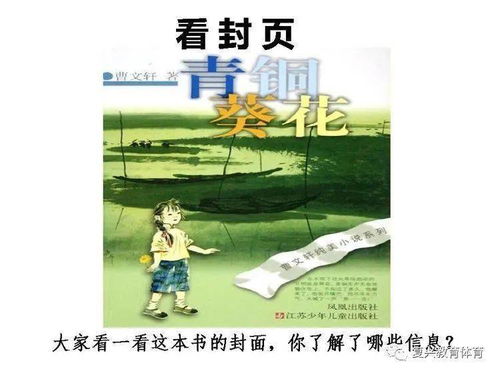 雙百云行動 青銅葵花閱讀指導(dǎo)課故云行